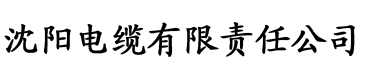 亚洲欧洲无卡二区视頻电缆厂logo